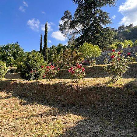 Borgo Al Canto Degli Alberi Лукка Экстерьер фото