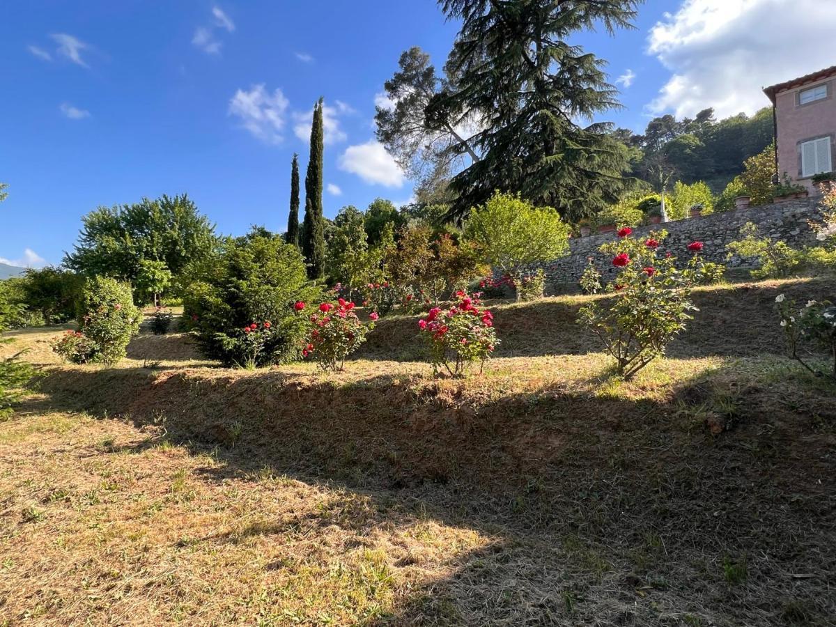 Borgo Al Canto Degli Alberi Лукка Экстерьер фото